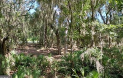 White Caps Way, St. Marys, GA 31558