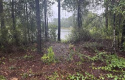 BOLES Avenue, Interlachen, FL 32148