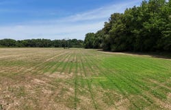 phillips rd. 222 lexa, Lexa, AR 72355