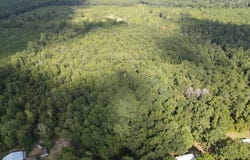 Blanchard Lane, Silver Creek, MS 39663