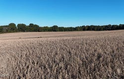 Biffle Road, Newbern, TN 38059