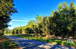 Nathan Jordan Road, Millry, AL 36558