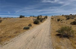 Oleander, Oro Grande, CA 92368