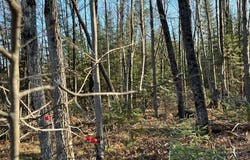 W6531 CTH O, Tomahawk, WI 54487