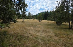 Hwy 58, Lowell, OR 97452