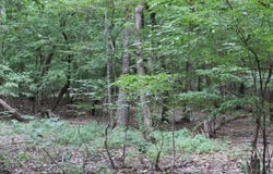 PID 69934 Duff Rd, Livingston, TX 77351