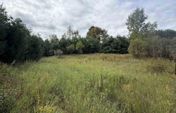 V/L 185th Avenue, Leroy, MI 49655