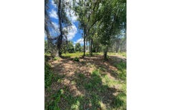 COUNTY ROAD 42, UMATILLA, FL 32784