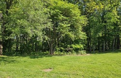 Fox Haven Drive lot: 6, Mt Vernon, MO 65712