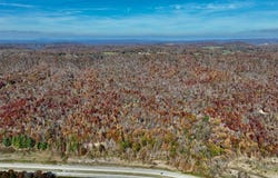580 FLATWOODS ROAD, BRAGG, WV 25918