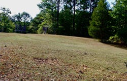 135 CEDAR LANE Dr, Winfield, AL 35594