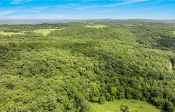 80 ac lot Madison 2750, Huntsville, AR 72740