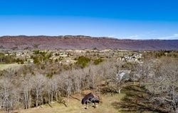 Howard Rd, LaFollette, TN 37766
