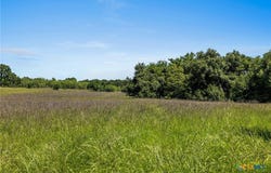 CR 270, Cameron, TX 76520