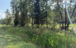 Cohen Road, Pineland, SC 29934