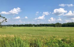 64 CRAVENS Rd lot: 64, Savannah, TN 38372