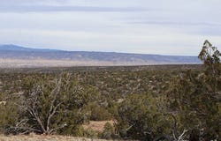 Grants, NM 87020
