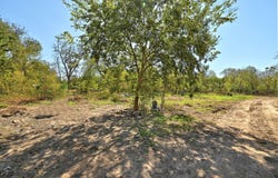 2100 Whirlaway Dr, Del Valle, TX 78617