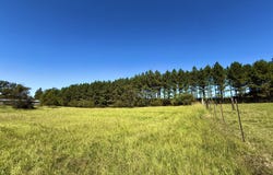206 Barker Road, Morton, MS 39117