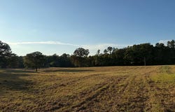 2380 WATKINS Dr, Williston, TN 38076