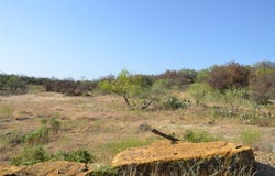 CR 326, Baird, TX 79504