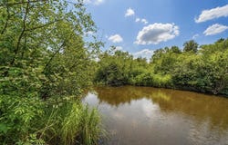 STATE HIGHWAY 17, Merrill, WI 54452