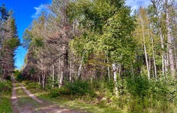 ON HERMANS LN, Argonne, WI 54511