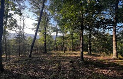MOOREFIELD, WV 26836