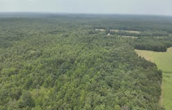 T K Lane, Pontotoc, MS 38863
