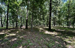 220 Beyers Lake Est, Pana, IL 62557