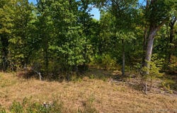 Santee Trail, Camdenton, MO 65020
