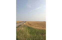 County Road 85, Dalton, NE 69131