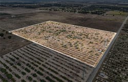 ALTURAS BABSON PARK CUTOFF, BARTOW, FL 33830