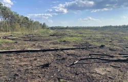 GENTRY RD, Star City, AR 71667