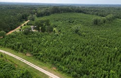 590 County Road 204, ARITON, AL 36311