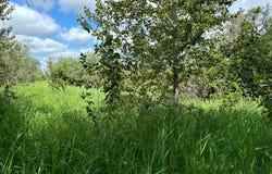 County Road 7, Bagley, MN 56621