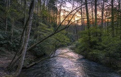 58 River Road, Cherry Log, GA 30522