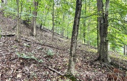 Lexington Dr, Saint Albans, WV 25177