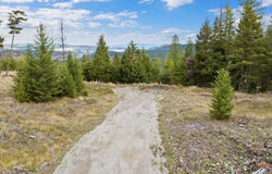 Tract 1 & 2 Wild Horse Trail, Kila, MT 59920