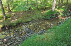 1 ACRE ADJOINING LOST RIVER STATE Park, MATHIAS, WV 26812