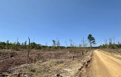 1 Evans Road, Carthage, MS 39051