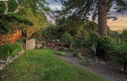 491 VINCENTE AVENUE, Berkeley, CA 94707