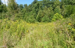 Reightown Road, Tyrone, PA 16686