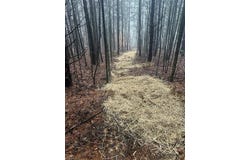 Whitaker Chapel Road, Pilot Mountain, NC 27041