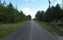 DOGTOWN Rd, Carbon Hill, AL 35549