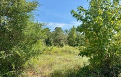 Tract 3 Private Rd 8385, Spurger, TX 77660