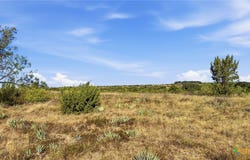 Twisted Creek Ranch lot: 46, Gustine, TX 76455