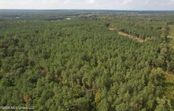 5529 Mlking Junior Drive, Eupora, MS 39744