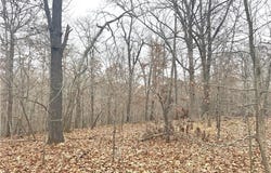 29200 Hampton Ridge RD lot: 47, Proctor, OK 74457