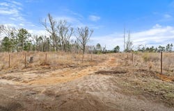 CR 4452, McLeod, TX 75565